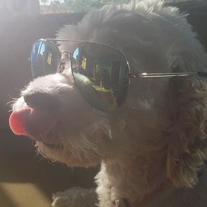 Fundraising Page: Jesec Griffin